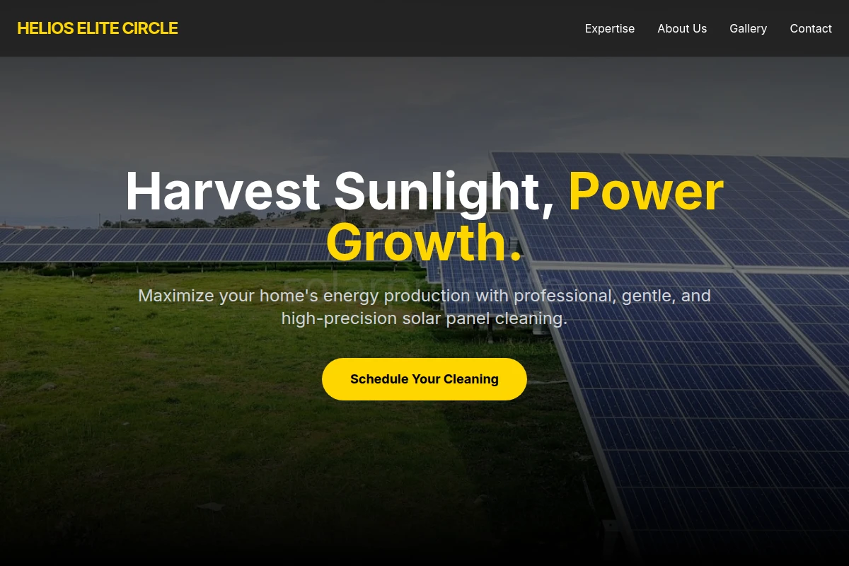 Performance Solar Cleaning