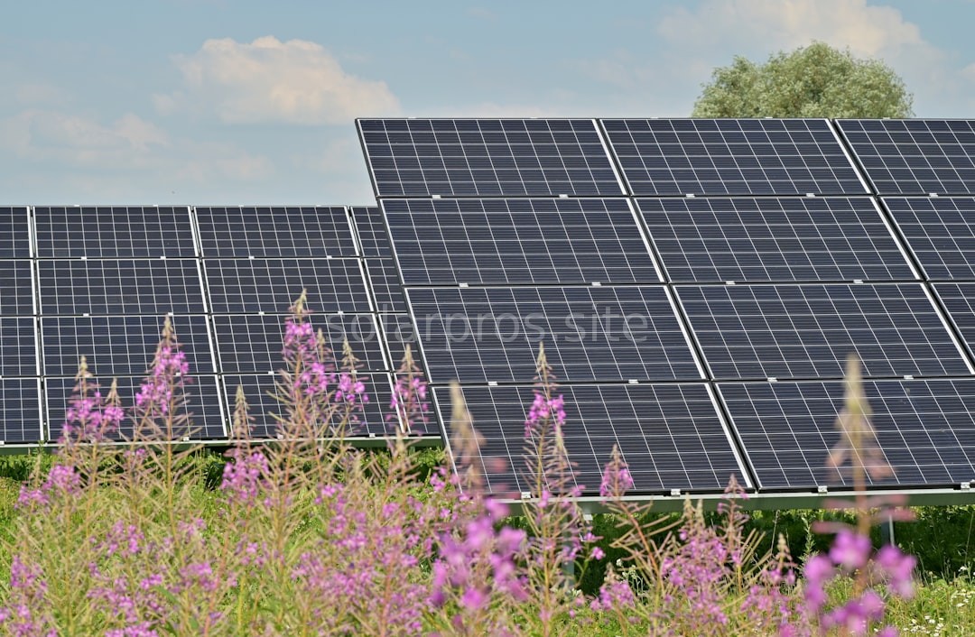 Solar Reel 1